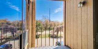 Horizons East Gallery 16