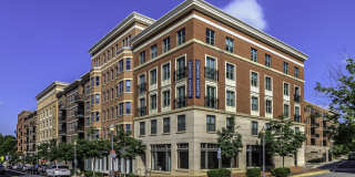 Pearson Square Gallery 24