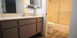 10332 Caminito Aralia Gallery 11