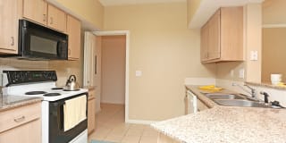 Ashley House Gallery 11