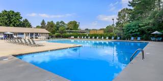 Walden Pond Gallery 3