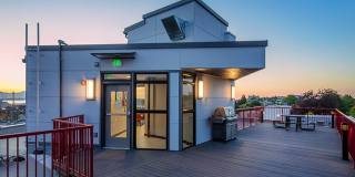 Mad Flats - Live Bold. Work Free. Play Capitol Hill. Gallery 16