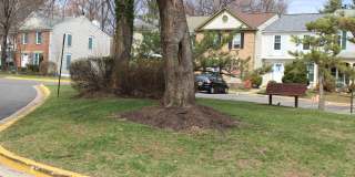 642 CONCERTO Lane Gallery 15