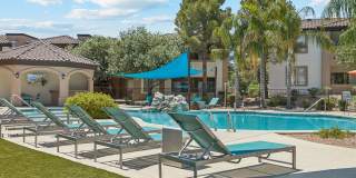 Silverbell Springs Gallery 10