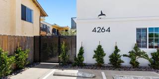 4264 42nd St Gallery 7