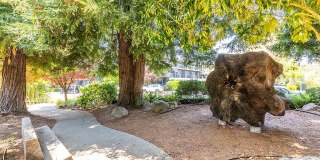 The Cove at Tiburon Gallery 35
