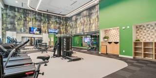 Solis Midtown Gallery 19