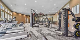 Barron Park Gallery 16