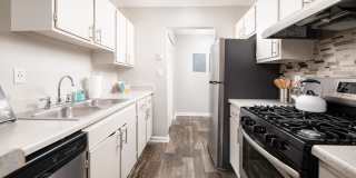 Park at London Gallery 14