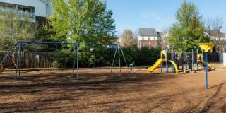 Blue Ridge Gallery 16