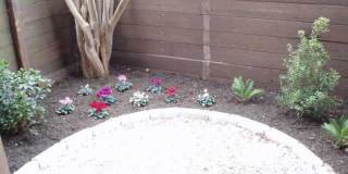 Cottonwood Gallery 9