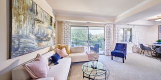 Cavalier Court Gallery 9