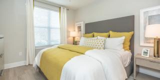 Territory at Greenhouse Gallery 8