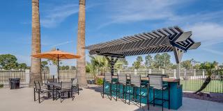 Aventerra at Dobson Ranch Gallery 24