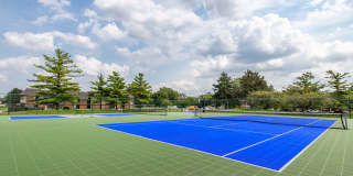 Laurel Valley Gallery 16