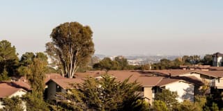 Crystal Springs Terrace Gallery 13