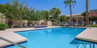 Palm Desert Gallery 7