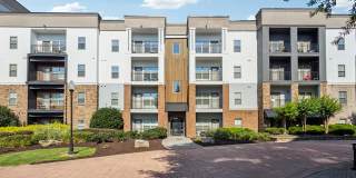 Alexander at the District Gallery 1