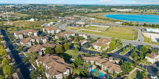 The Vineyards at Hammock Ridge Gallery 34