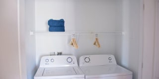 Sandalwood Gallery 20