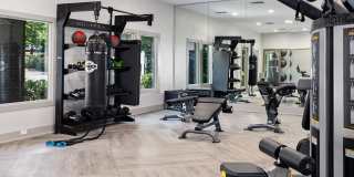 The Falls and Woods of Hoover Gallery 15