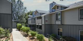 Sierra Oaks – North Gallery 3