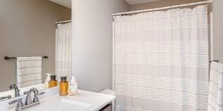 Single Family Home - Available For Rent! Gallery 11