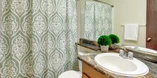 Conifer Grove Gallery 6