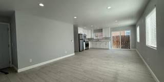 NewB SDS T 3634 Gallery 5
