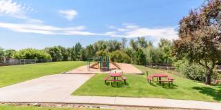 Alvista Trailside Gallery 45