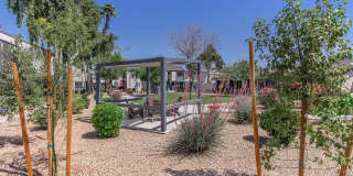 Rise on McClintock Gallery 69