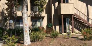 COLLEGE GROVE #98 Gallery 1