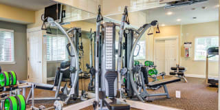 Reflections at the Park Gallery 12