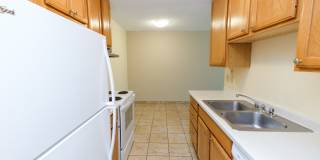 Chateau Montreal Gallery 35