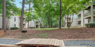 The Pines Gallery 50