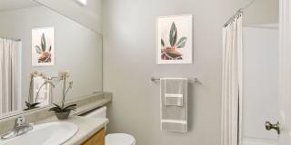 Sycamore Village Gallery 9