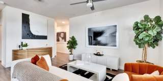 Perch Gallery 20