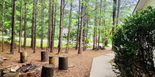 310 Mountain Alder Lane Gallery 52