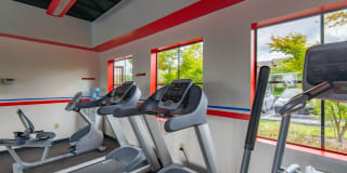 Palermo at Lakeland Gallery 9