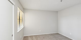 Renew on Summerfield Gallery 15