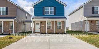 1108 Judah Bear Gallery 1