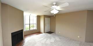 Wilshire Park Gallery 19