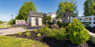 The Trails of Saddlebrook Gallery 90