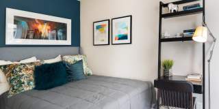 Modern on M Gallery 50