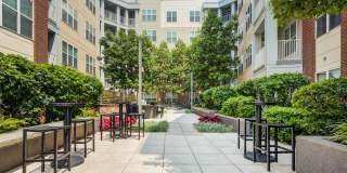 Pike 3400 Gallery 28