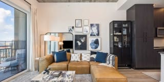 The Mav Gallery 8