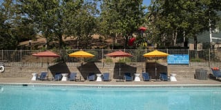 Waterscape Gallery 22