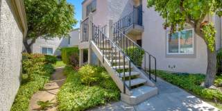 6677 Paseo Del Norte Gallery 17