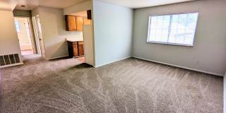 Albany St Apartments Gallery 10