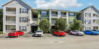 Arbor Walk Gallery 2